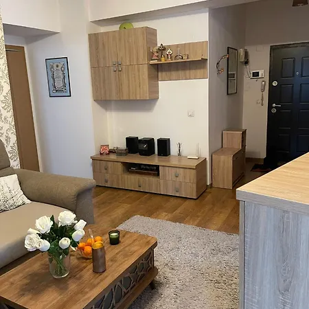 Apartament Gradinarilor * Bucareste